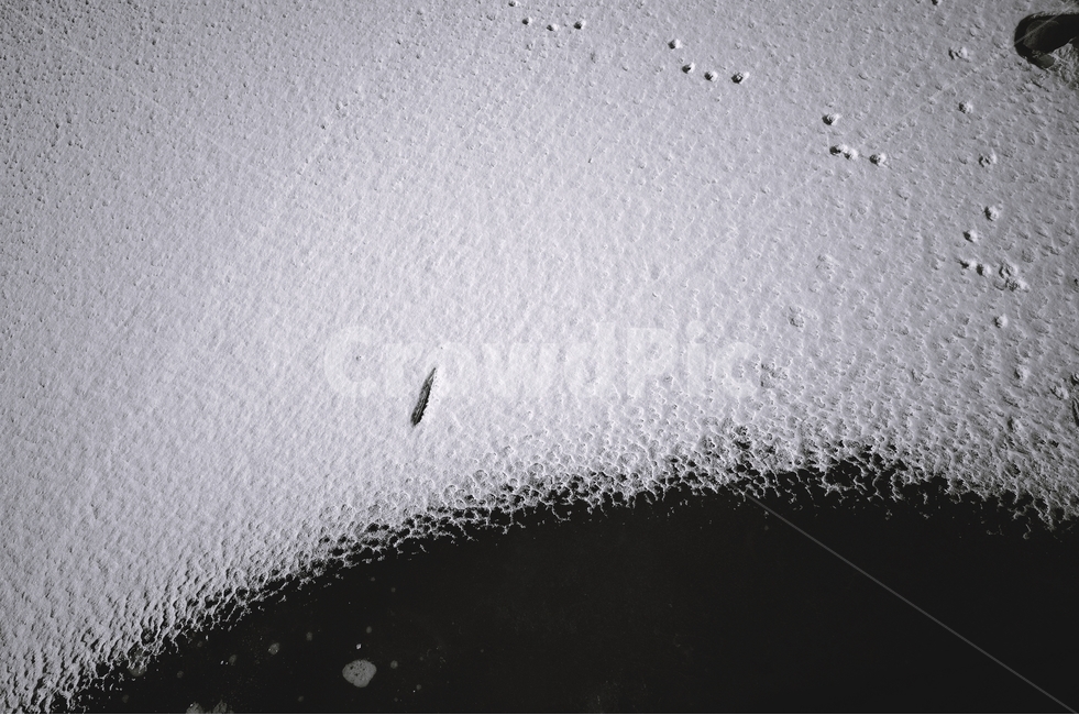 강,감성사진,눈,겨울,2월,강가,아침,겨울,계절,winter,season,감성,sensible,feeling,흑백,모노톤,monochrome,black and white