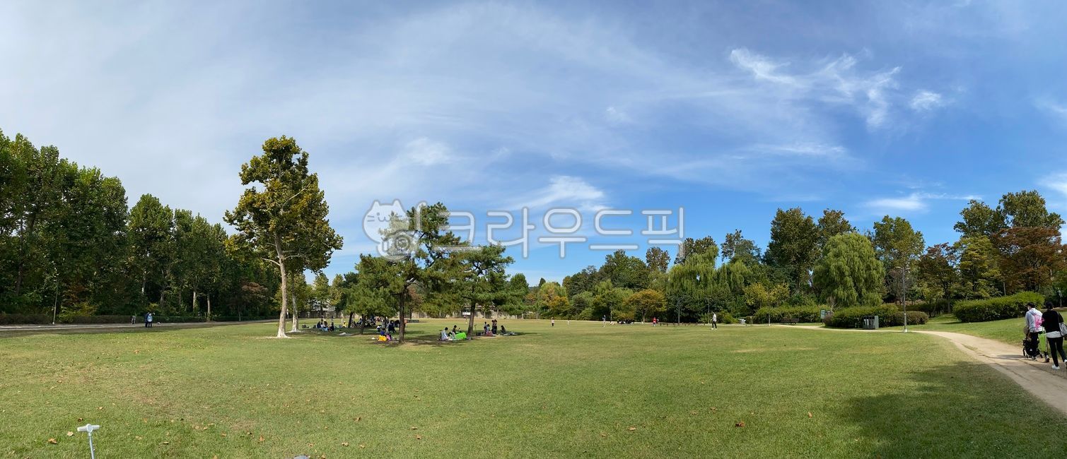 Outing place,sky,grass,tree,picnic,lawn,park