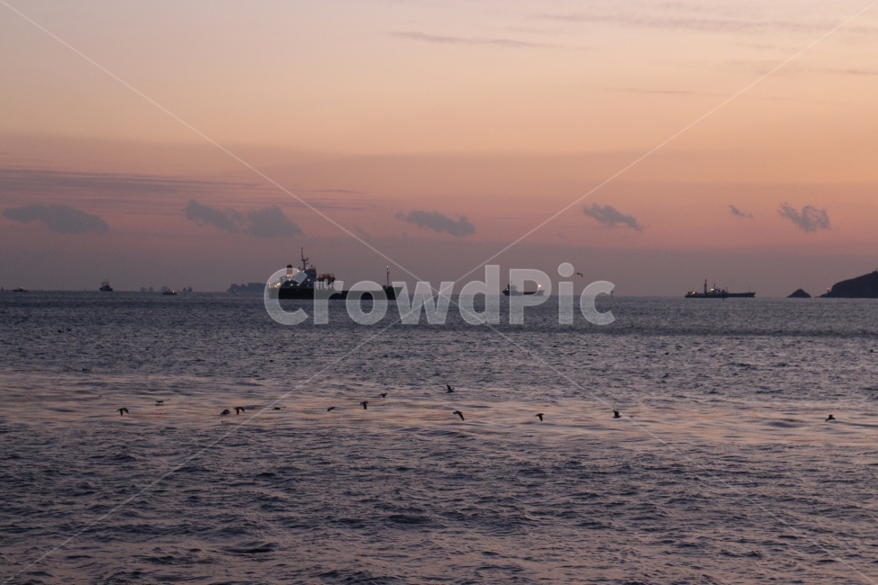 	매직아워,바다,노을,석양,해질녘,배,구름,갈매기,상선,새,수평선,magichour,sea,seascape,sunset,boat,cloud,seagull,horizon,감성,겨울감성,자연,풍경,nature,landscape,교통,교통수단,traffic,transportation,vehicle,차량,보트