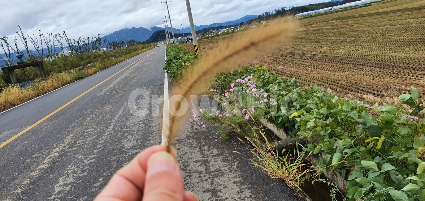 landscape,cloudscape,blue,sunlight,clear,nature,cumulus,color,sky,day,weather,white,beauty,fluffy,space,cloudy,climate,summer,seasonal,background,light,sunny,season,high,beautiful,cloud,scenic,sunshine,heaven,abstract,road,도로,person,사람,human,인간,식물,자연,plants,nature