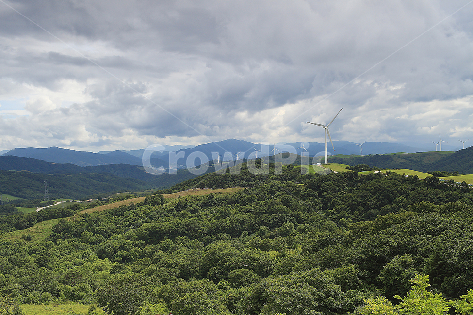 여름,대관령,풍력발전기,시원,하늘,목장,산업,industry,industrial,에너지산업,energy industry,nature,자연,outdoors,옥외