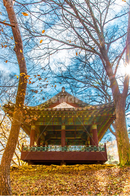 정자,누각,가을,감성,낙엽,하늘,단풍,가을,계절,fall,autumn,season,한국전통,한국문화,korean traditional,korean culture,식물,자연,plants,nature,나무,trees,wood,휴식,힐링,rest,relaxation,healing,건축물,건물외관,exterior,building,structure,architecture,construction,건물,temple,신전