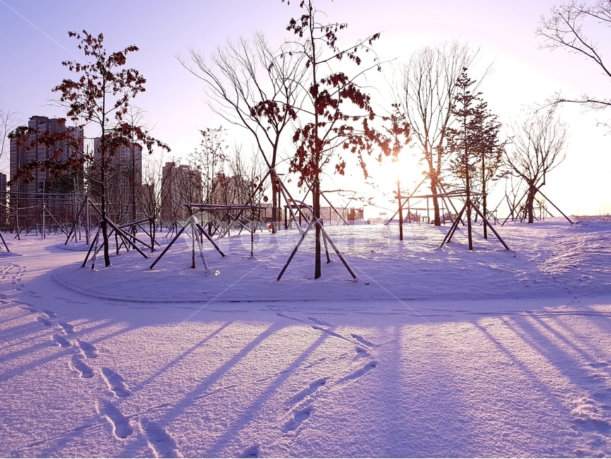 일출,해,풍경,자연,겨울,나무,겨울,계절,winter,season,도시,풍경,city,landscape,한국도시풍경,한국도시경관,korea cityscape,nature,outdoors,옥외