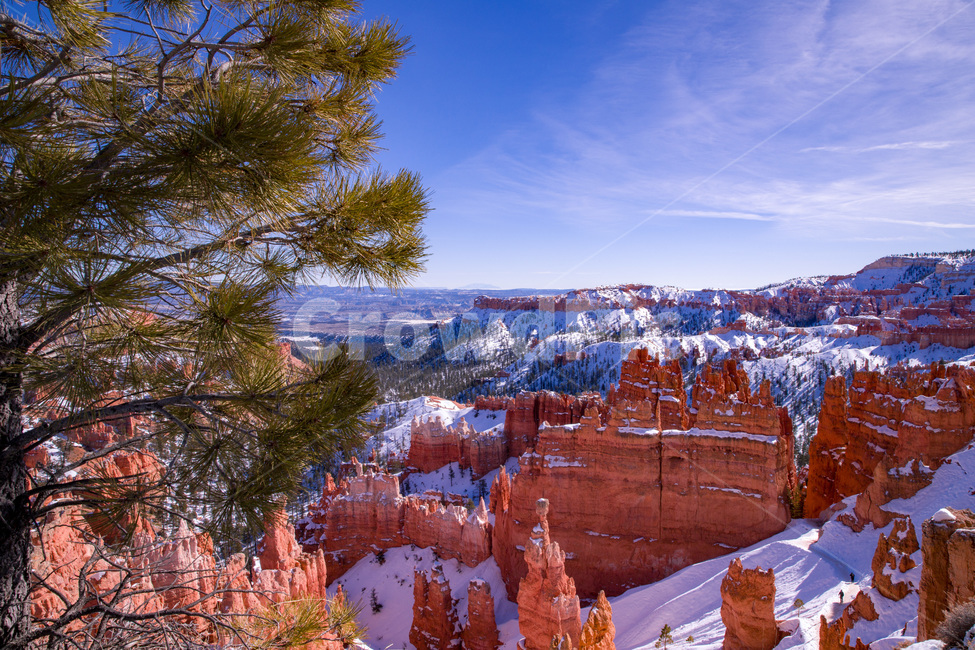 famous,america,bryce,brycecanyon,brycecanyonnationalpark,canyon,erosion,geology,hoodoo,landmark,landscape,national,nature,orange,park,red,rock,scenic,sky,snow,southwest,tourism,usa,utah,view,미국,유타,브라이스캐년,눈,겨울,자연,산