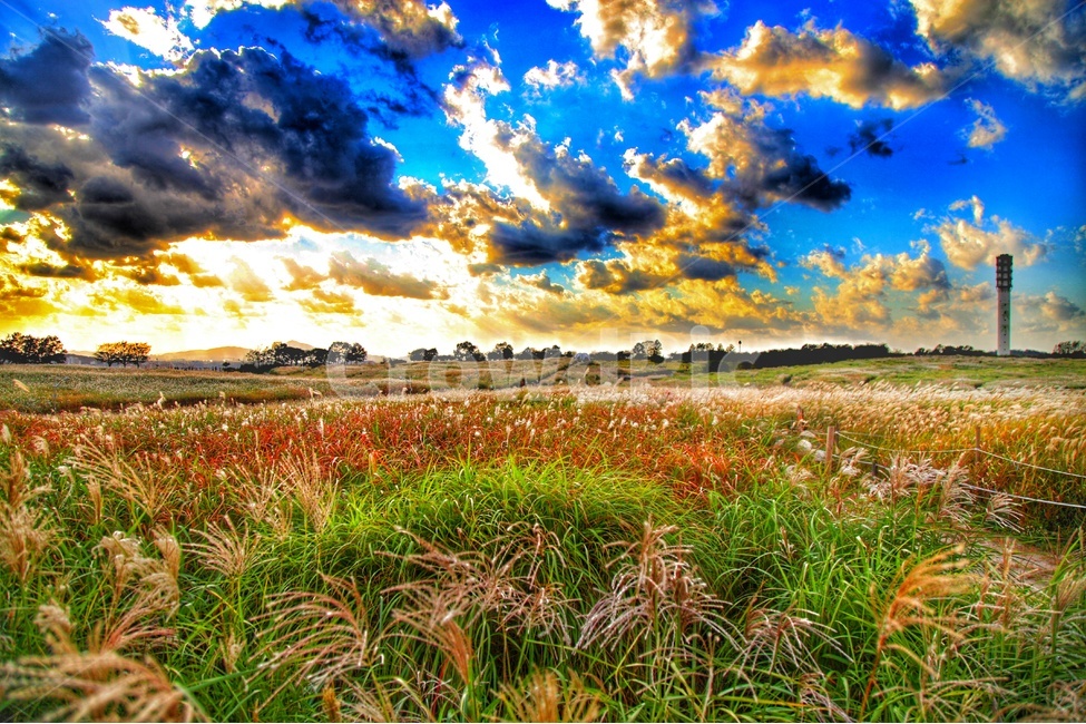 가을공원,가을하늘,공원하늘,풍경,가을풍경,가을,계절,fall,autumn,season,자연,풍경,nature,landscape,outdoors,옥외,field,들,grassland,목초지