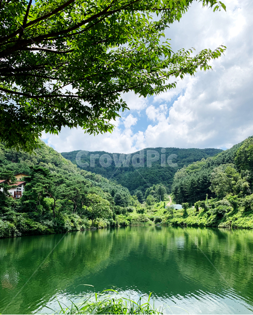 호수,여름,초록잎,nature,자연,water,물,맑은물,풍경,경치,여름풍경,여름경치,자연,풍경,nature,landscape,outdoors,옥외,vegetation,초목,plant,식물,land,땅