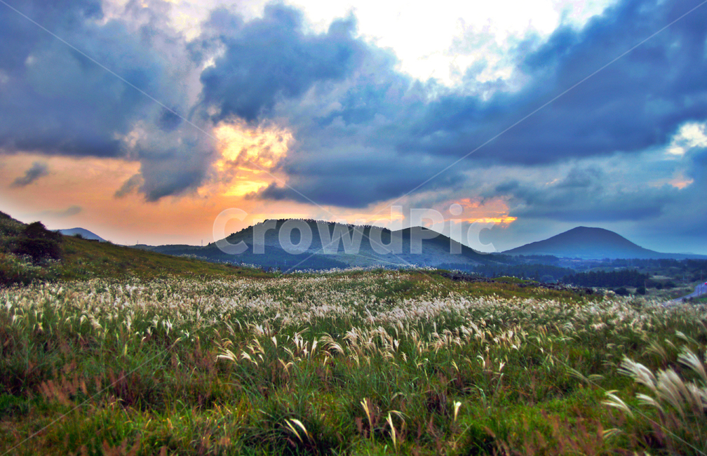 일몰,석양,오름,제주,억새,구름,가을,자연,붉은노을,자연,풍경,nature,landscape,제주도,jeju,jeju island,outdoors,옥외,grassland,목초지,field,들,mountain,산,mountain range,산맥