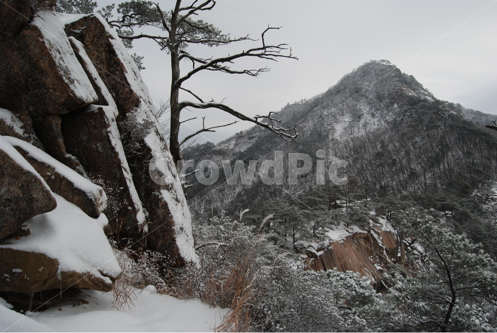 할미봉,겨울,눈,휴양림,자연,겨울,계절,winter,season,자연,풍경,nature,landscape,한국자연풍경,한국자연경관,korea nature landscape,outdoors,옥외