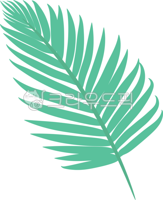 팜트리,야자수잎,야자나무잎,여름,트로피컬,자연,계절,야자나무,트로피칼,열대식물,열대나무잎,식물,잎사귀,나뭇잎,그린,초록,일러스트,leaf,palm,palmtree,tropical,green,png,illustration,summer