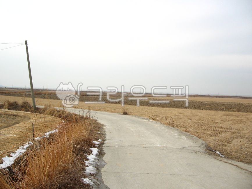 길,road,겨울들판,쓸쓸한길,겨울길,벌판,시골길,농로