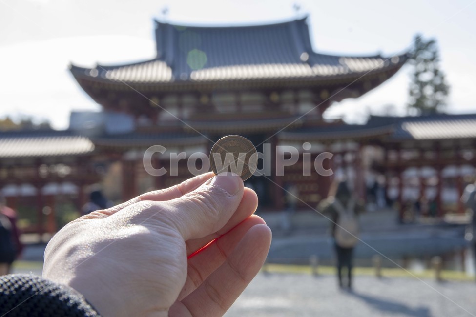 동전,coin,배경,보케,background