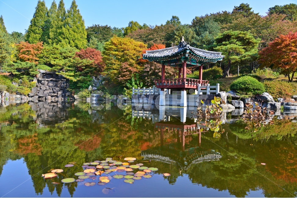 nature,자연,outdoors,옥외,architecture,건축물,water,물,plant,식물,tree,나무,현충원,국립현충원,국립,현충지,추색,가을,계절,만추,단풍,단풍잎,반영,정자,경치,경관,풍경