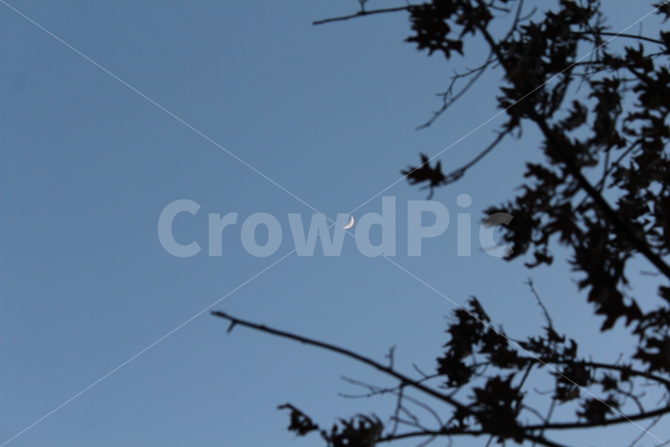 하늘,달,초승달,풍경,배경,밤하늘,sky,캐논,자연,풍경,nature,landscape,outdoors,옥외