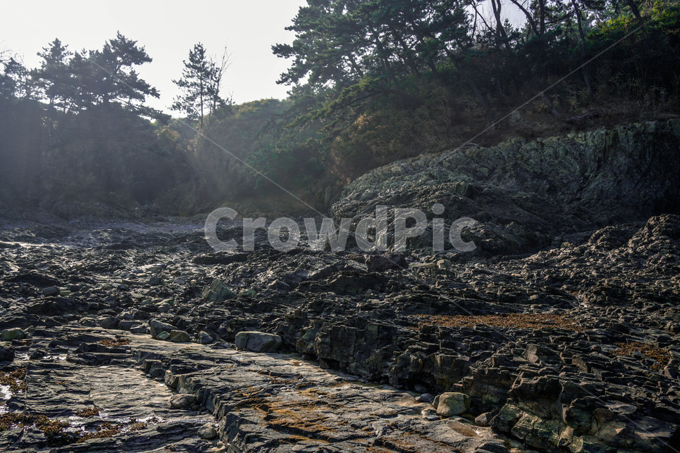 적벽강,지형,해안,암벽,암석,지리,해안지형,풍경,자연,바다,해양,자연,풍경,nature,landscape,ground,바닥