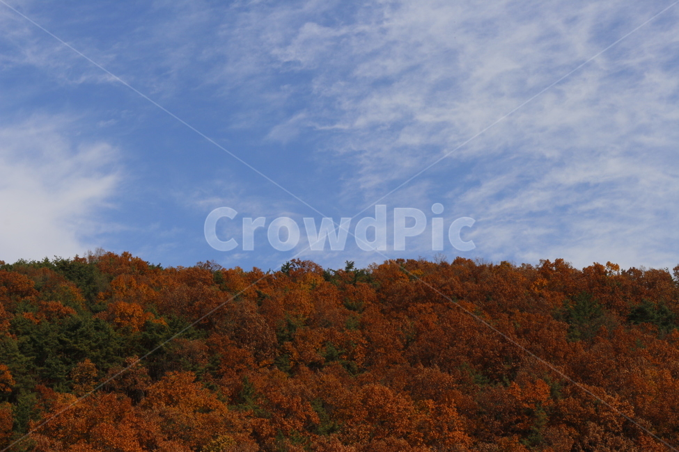 하늘,산,단풍,나무,구름,가을,계절,fall,autumn,season,nature,자연,outdoors,옥외