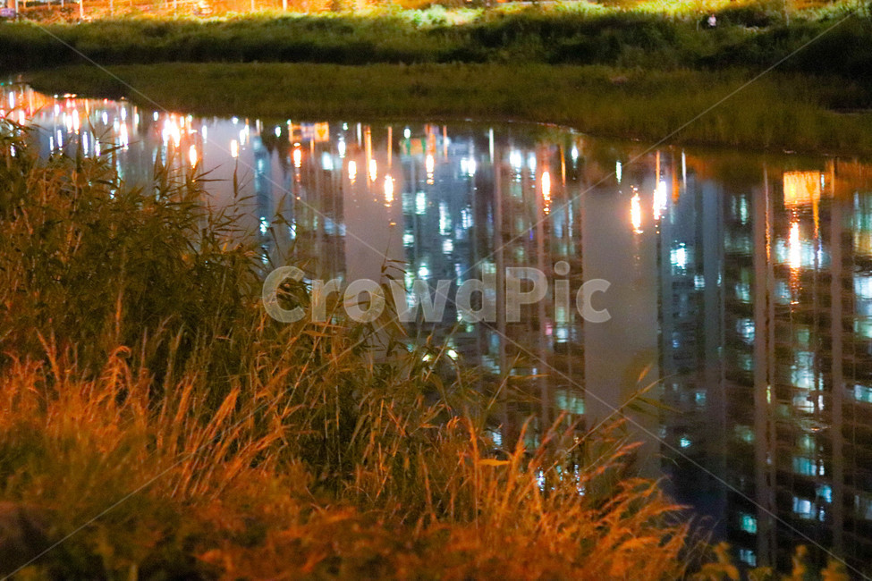 야경,밤하늘,강,불빛,중랑천,야간,저녁,경치,자연,도시,night,light,river,water,물