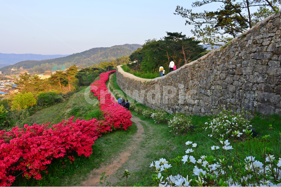 전북,고창,고창읍성,모양성,모양성봄,철뚝,철쭉꽃,봄,계절,outdoors,scenery,풍경,nature,자연,human,인간,person,사람