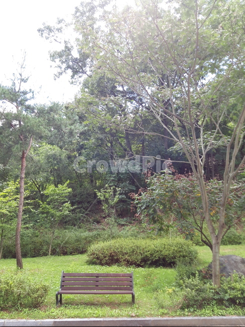 bench,furniture,숲속,나무,nature,자연,자연,풍경,nature,landscape,벤치