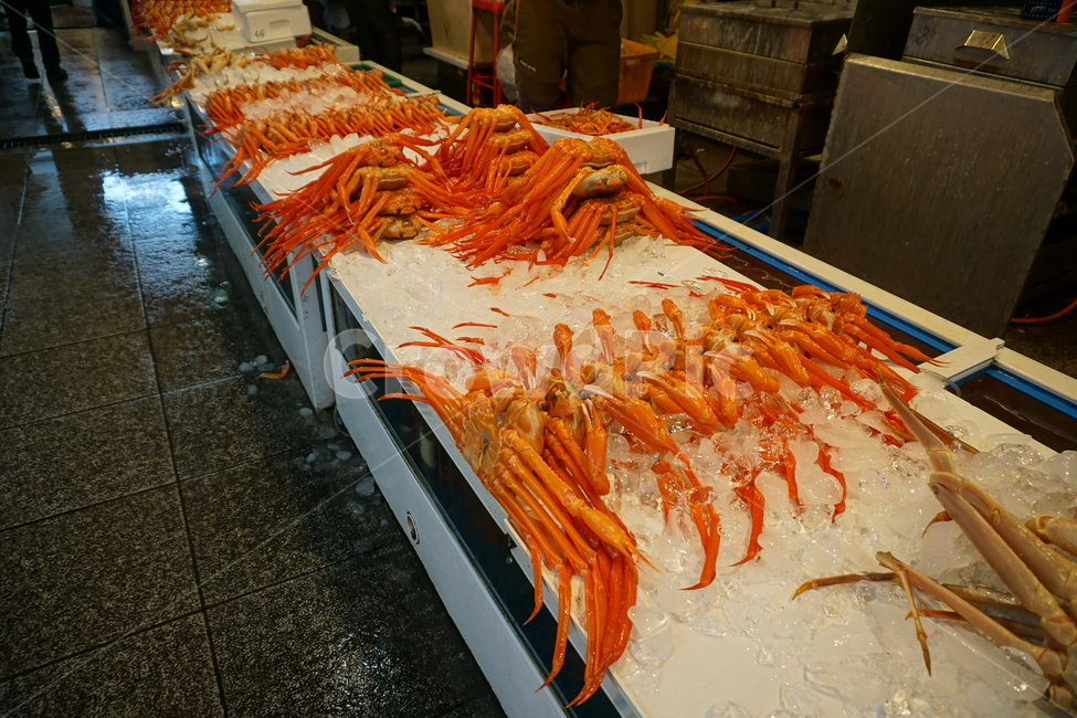 해산물,대게,포항,수산시장,제철음식