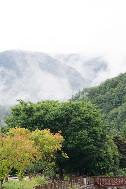 산,안개,구름,골짜기,산골짜기,배경,바탕,배경이미지,뒷배경,무주,구천동계곡,산안개,신록,구름낀산