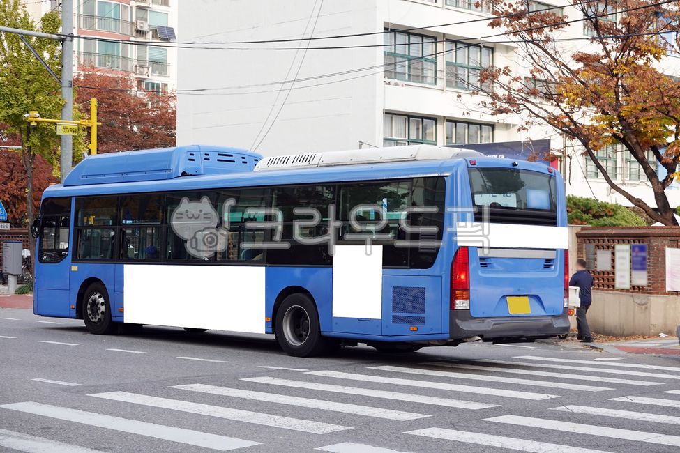 버스,버스광고,목업,목업이미지,광고,광고판,차량광고,시내버스광고,부착광고,옥외광고,판넬,비즈니스,상업광고판,도시배경,사인보드,상업광고,커머셜,비어있는,프레임,광고디자인,빈공간,배경,바탕,백그라운드,사각형광고판,차량,교통수단,bus,busadvertisement,mockup,mockupimage,billboard,vehicleadvertisement,citybusadvertisement,advertisement,outdooradvertisement,panel,business,commercialbillboard,citybackground,signboard,commercialadvertisement,commercial,free,frame,advertisingdesign,emptyspace,background