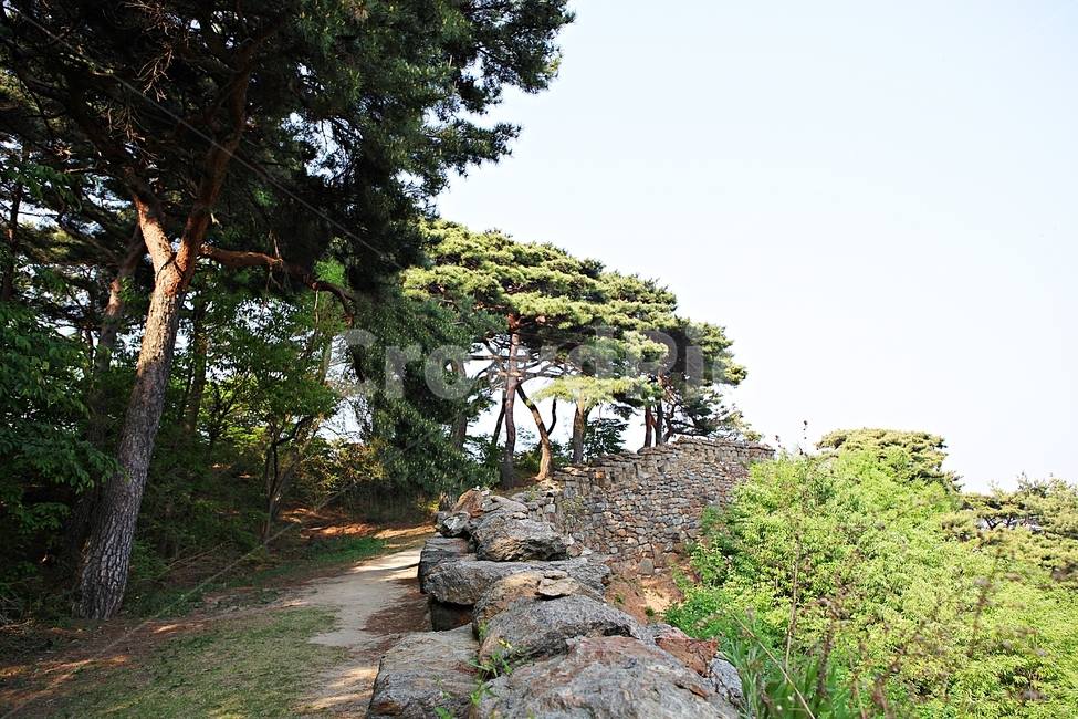 성,전등사,전등사성곽,돌담,숲길,자연,배경,풍경