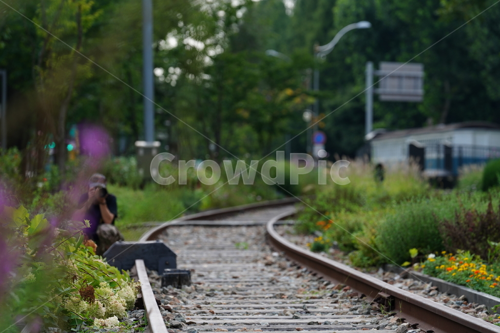 철길,레일,rail,길,철,기찻길,교통,person,인간,transportation,railway,교통,교통수단,traffic,transportation