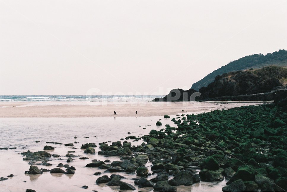 바다,필름,풍경,감성,film,자연,풍경,nature,landscape,promontory,곶,water,물,shoreline,해안선