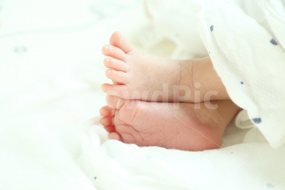 감성,아기발,아기,스냅,캐논,사람,인물,인간,human,person,영유아,아기,애기,아이,infants,baby,연출,컨셉,콘셉,direction,concept