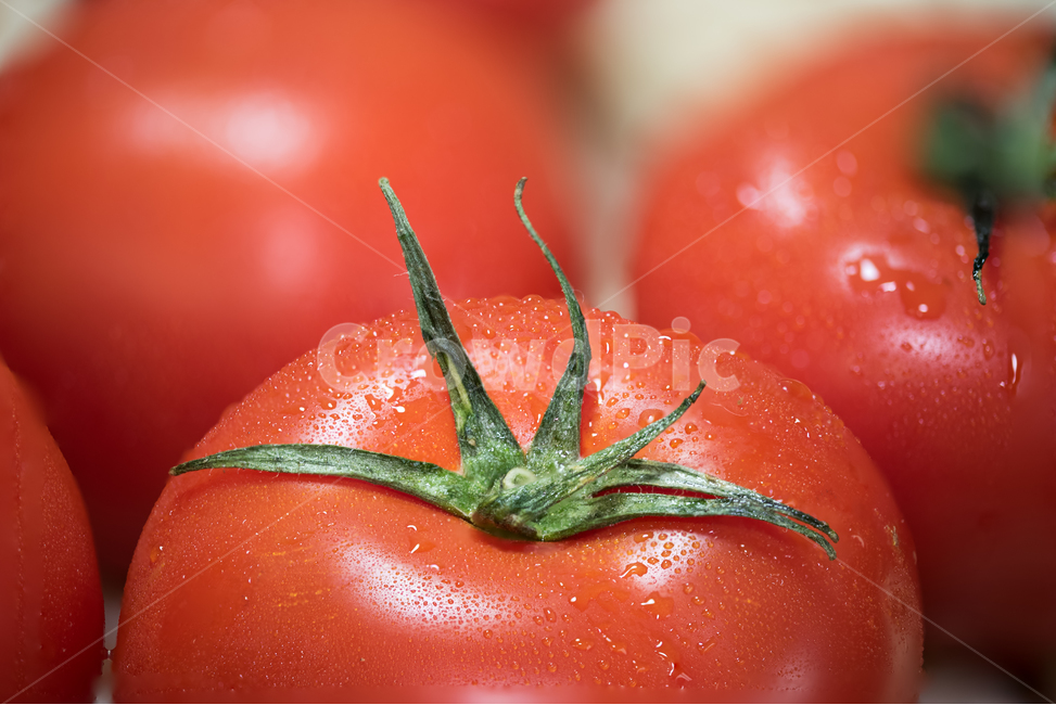 토마토,식품,신선,다이어트,야채,채소,붉은,음식,식재료,요리,food,cook,meal,dishes,food reserves,채소,야채,vegetables