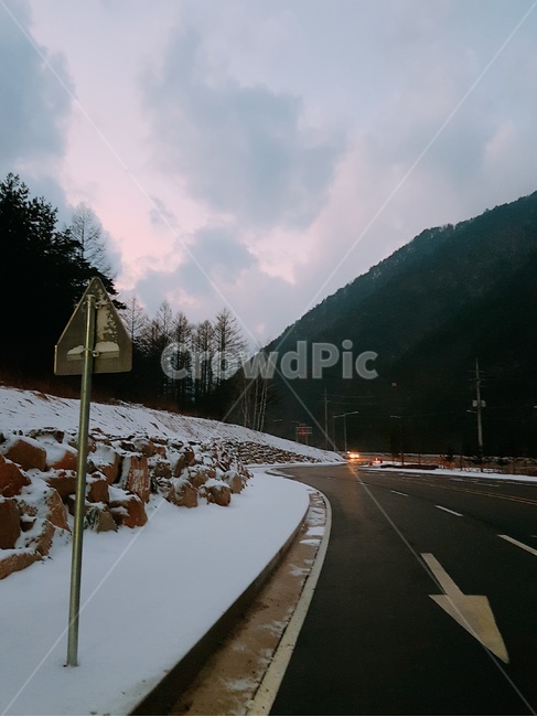 강원도정선,겨울,눈온뒤,초저녁,핑크빛하늘,겨울,계절,winter,season,자연,풍경,nature,landscape,road,도로,tree,나무,plant,식물,fir,전나무