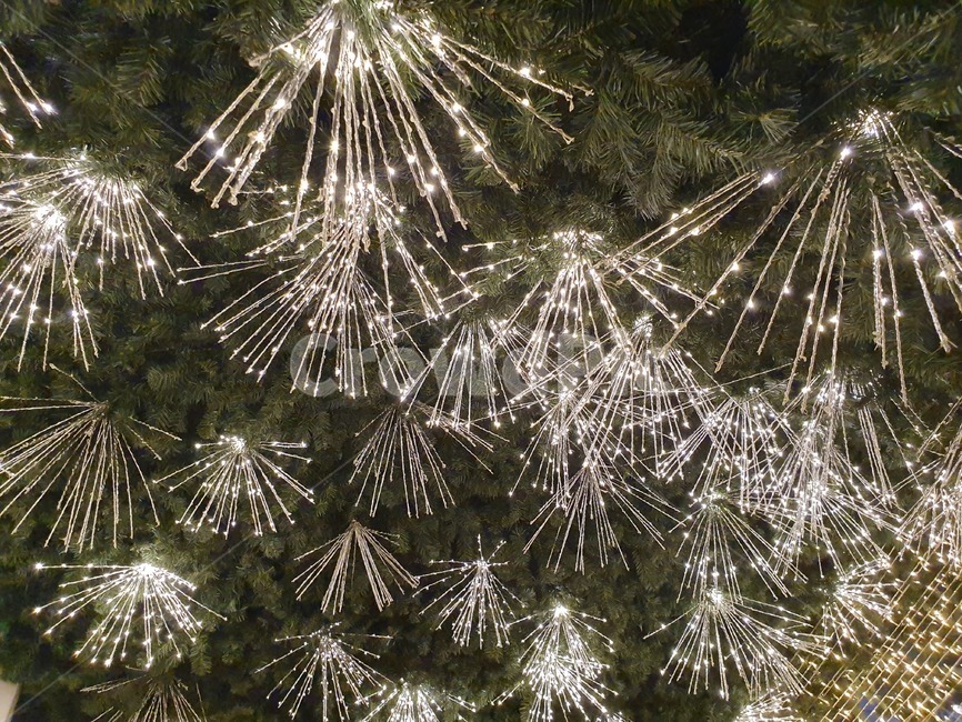 tree,나무,plant,식물,크리스마스,조명,christmas,lighting,winter,겨울,메리크리스마스,성탄절,merry christmas