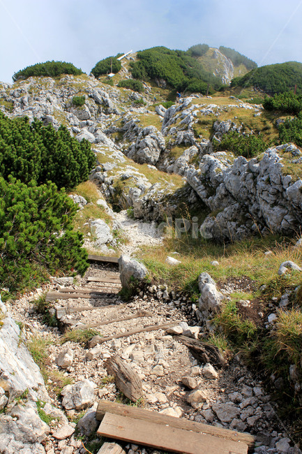 유럽,오스트리아,짤츠부르크,운터스베르크,untersberg,자연,풍경,나무계단,자연풍경,산,알프스산맥,자연,풍경,nature,landscape,해외,외국,세계,foreign,oversea,world,세계자연풍경,해외자연풍경,외국자연풍경,world nature landscape,ground,바닥,rubble,파편