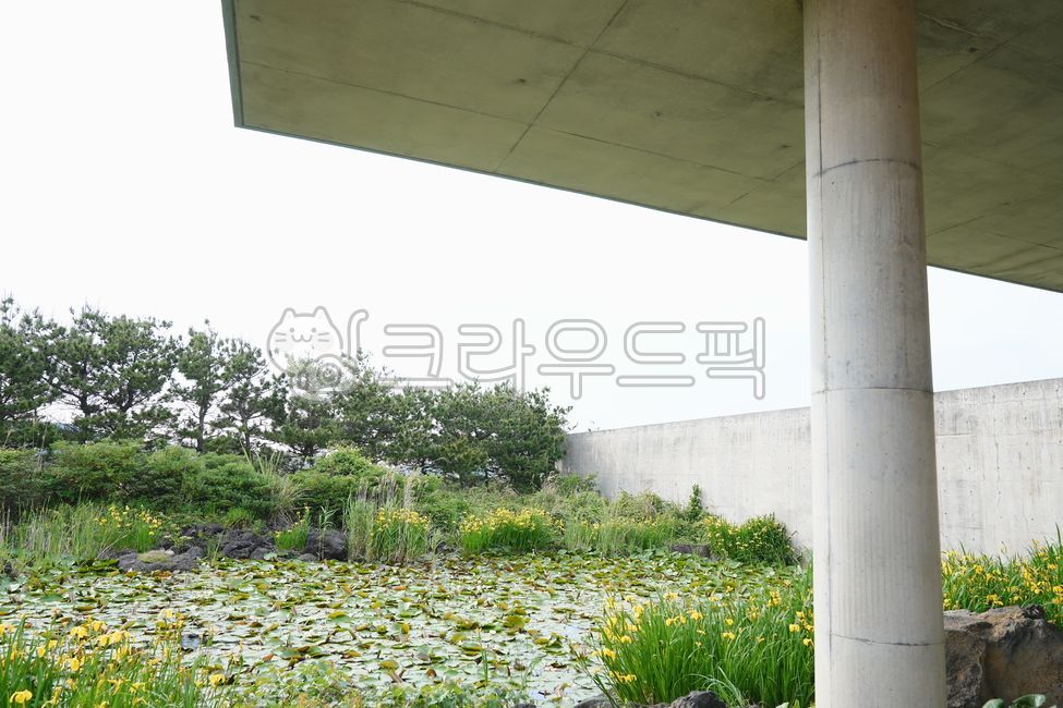 연못,기둥,나무,수풀,물,물가,조경,돌기둥,옥외,자연,flower,nature
