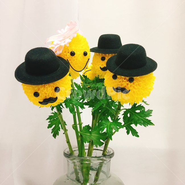 꽃,퐁퐁,꽃다발,퐁퐁국화,국화