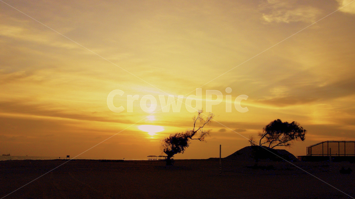 여명,바닷가,해변,일출,실루엣,자연,풍경,nature,landscape,실루엣,그림자,silhouette,shadow,outdoors,옥외,grassland,목초지,field,들