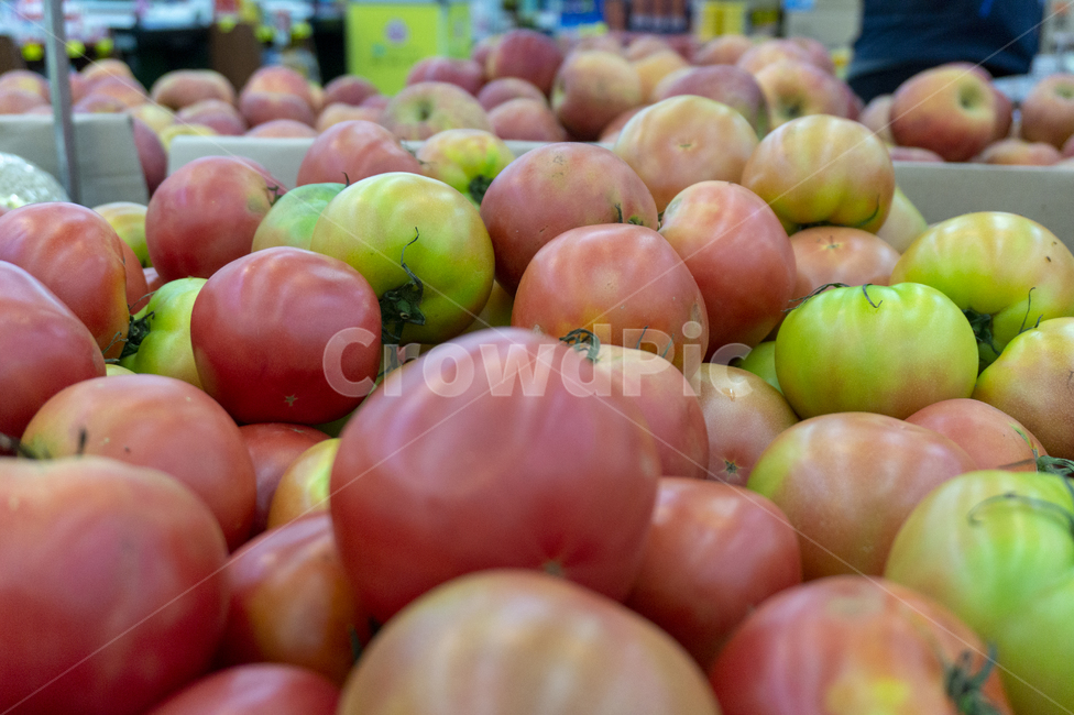 토마토,마트,과일코너,과일,야채,익은토마토,덜익은토마토,음식,식재료,요리,food,cook,meal,dishes,food reserves,과일,열매,fruit