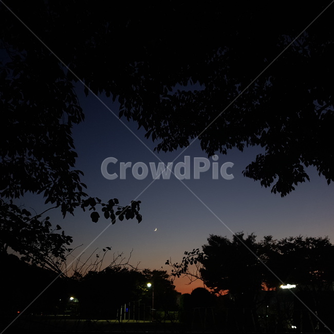 나무,달,저녁하늘,밤하늘,하늘색깔,sk가을하늘,자녁풍경,야경,밤,풍경,nightscape,night,landscape