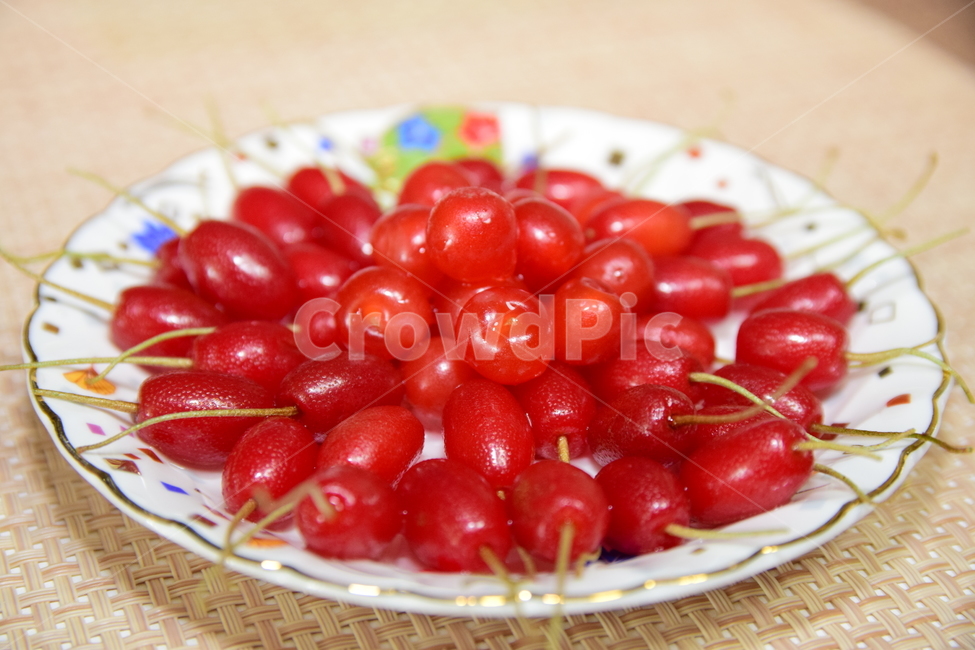 보리수,보리수열매,접시,빨간열매,열매,시콤달콤,fruits,redfruits,음식,식재료,요리,food,cook,meal,dishes,food reserves,과일,열매,fruit