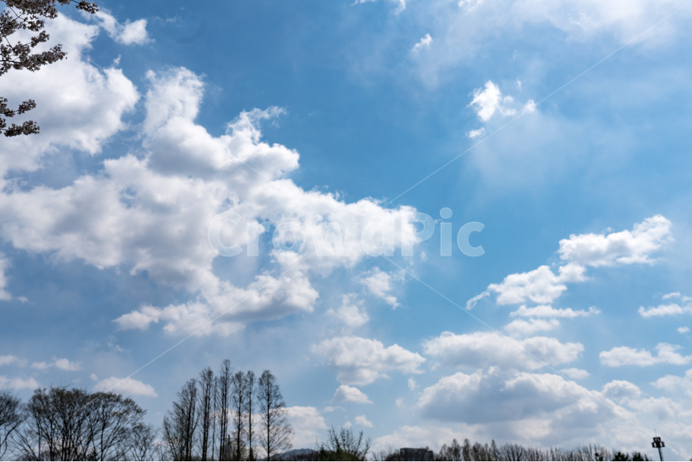자연,natural,하늘,sky,구름,cloud,나무,tree,wood,sun,shine,자연,풍경,nature,landscape,outdoors,옥외,weather,날씨,cumulus,적운