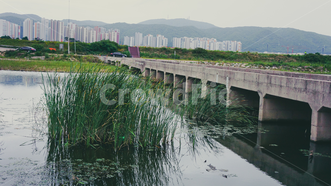 water,물,nature,자연,다리,강,river