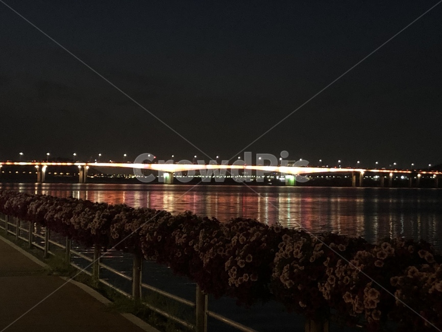 한강,다리,야경,꽃,분수,river