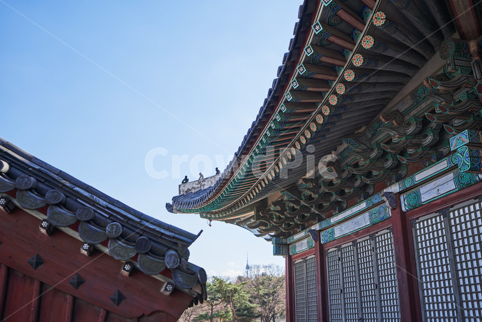 창경궁,한옥,궁궐,한국전통,고궁,랜드마크,기와