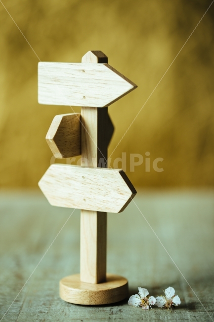 이정표,푯말,소품,안내,길안내,인생,방향,화살표,나무,꽃,사물,물건,오브젝트,thing,object,matter