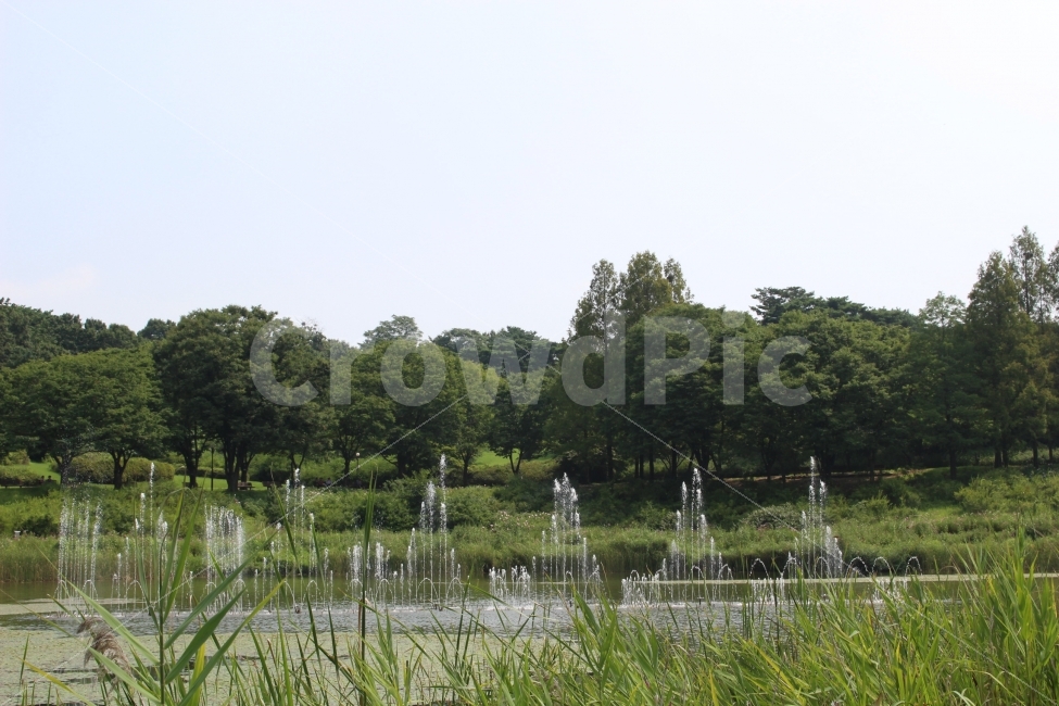 하늘,나무,자연,야외,공원,정원,풍경,자연,풍경,nature,landscape,outdoors,옥외,water,물,land,땅