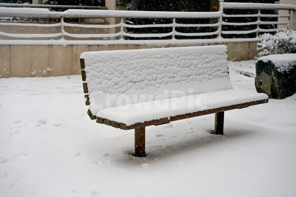 눈,의자,겨울,계절,snow,겨울,계절,winter,season,자연,풍경,nature,landscape,bench,벤치