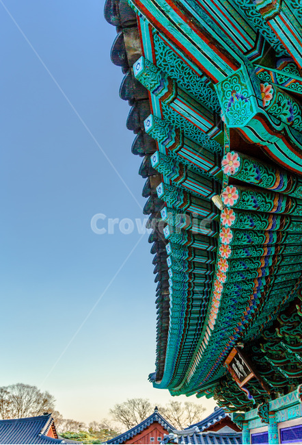 단청,문화유산,처마,문양,무늬,선,사찰,한국전통,한국문화,korean traditional,korean culture,건축물,건물외관,exterior,building,structure,architecture,construction