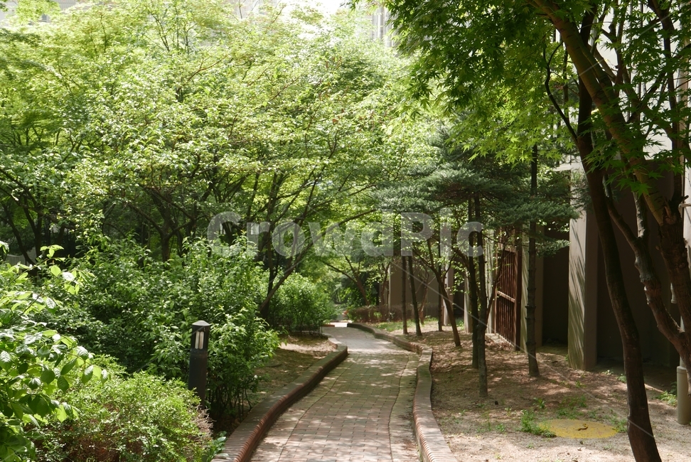 아파트,정원,산책,garden,outdoors