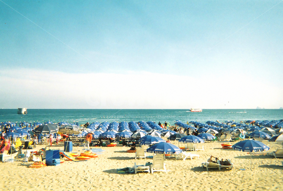 beach,바닷가,nature,coast,sea,해수욕장,필카,필름,파라솔