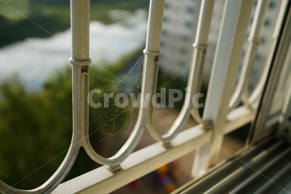난간,handrail,철,거미줄,쇠,창가